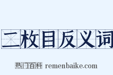 二枚目反义词是什么意思的图片